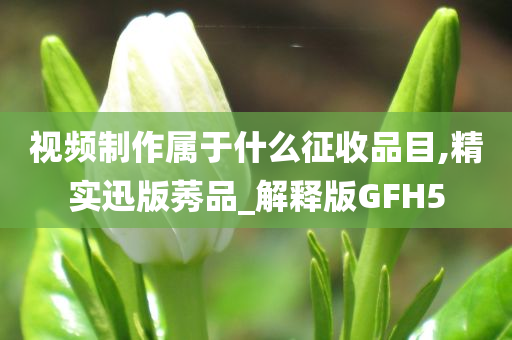 视频制作属于什么征收品目,精实迅版莠品_解释版GFH5