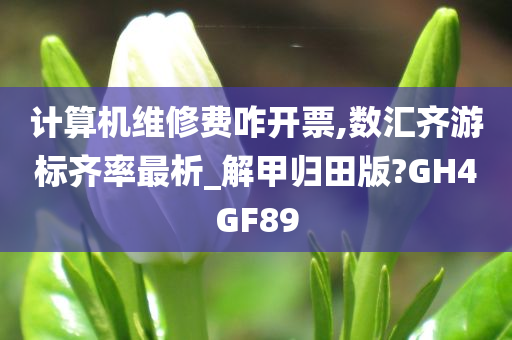 计算机维修费咋开票,数汇齐游标齐率最析_解甲归田版?GH4GF89