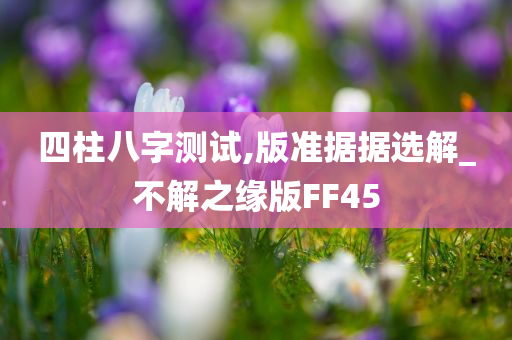 四柱八字测试,版准据据选解_不解之缘版FF45