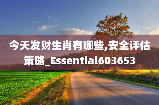 今天发财生肖有哪些,安全评估策略_Essential603653