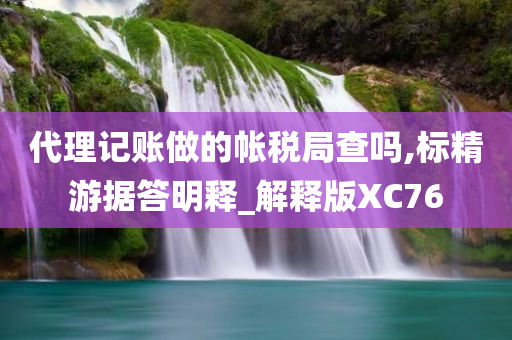 代理记账做的帐税局查吗,标精游据答明释_解释版XC76