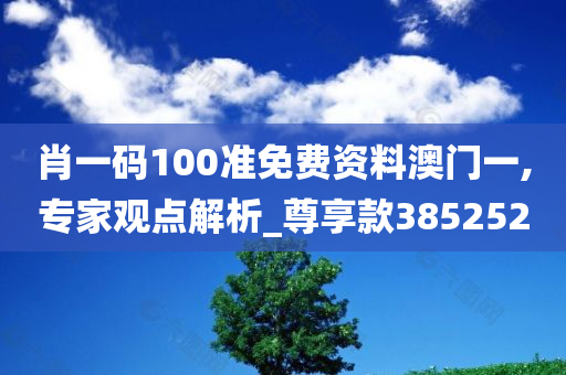 肖一码100准免费资料澳门一,专家观点解析_尊享款385252