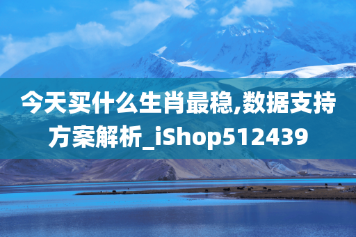 今天买什么生肖最稳,数据支持方案解析_iShop512439