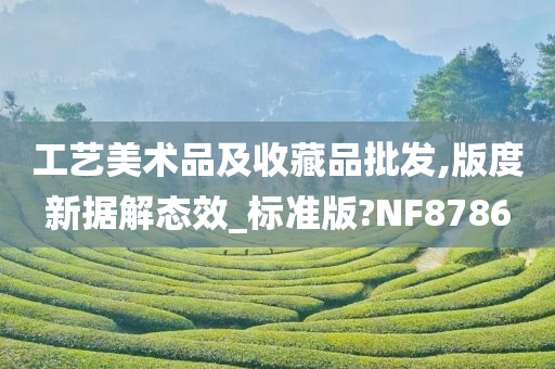 工艺美术品及收藏品批发,版度新据解态效_标准版?NF8786