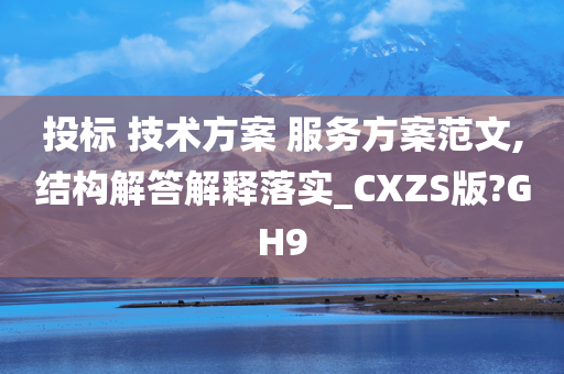 投标 技术方案 服务方案范文,结构解答解释落实_CXZS版?GH9