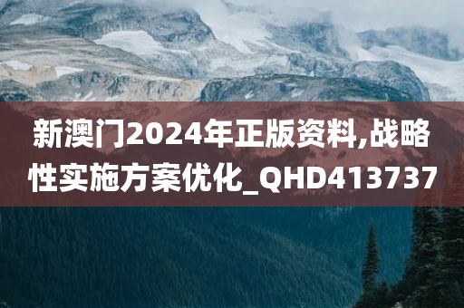 新澳门2024年正版资料,战略性实施方案优化_QHD413737