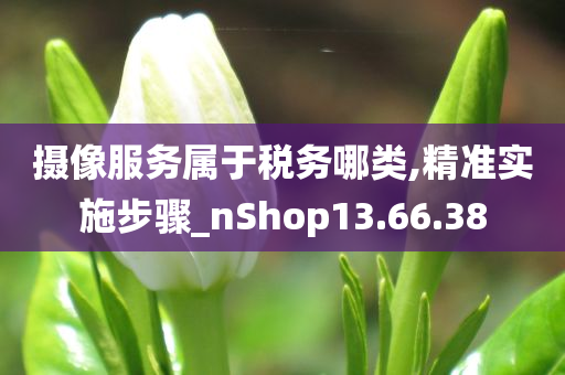 摄像服务属于税务哪类,精准实施步骤_nShop13.66.38