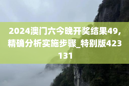 2024澳门六今晚开奖结果49,精确分析实施步骤_特别版423131