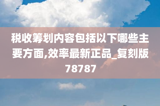 税收筹划内容包括以下哪些主要方面,效率最新正品_复刻版78787