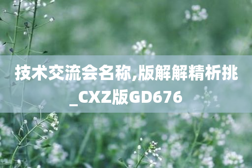 技术交流会名称,版解解精析挑_CXZ版GD676