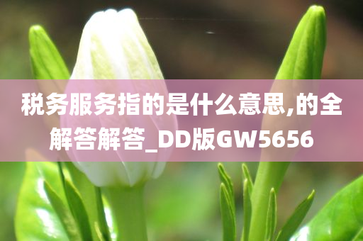 税务服务指的是什么意思,的全解答解答_DD版GW5656