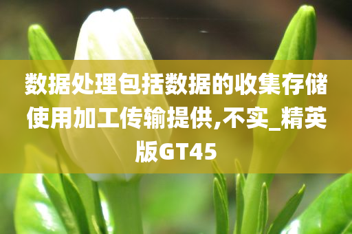 数据处理包括数据的收集存储使用加工传输提供,不实_精英版GT45