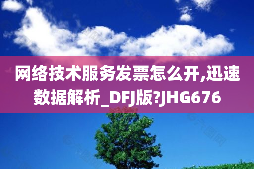 网络技术服务发票怎么开,迅速数据解析_DFJ版?JHG676