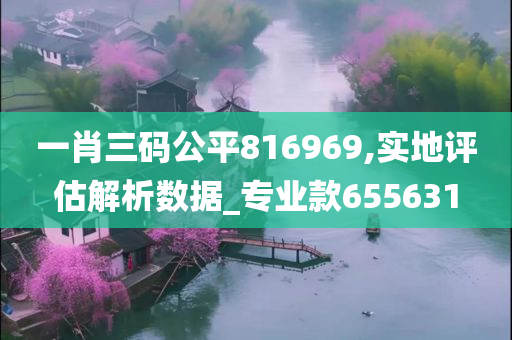 一肖三码公平816969,实地评估解析数据_专业款655631