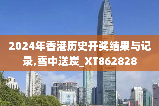 2024年香港历史开奖结果与记录,雪中送炭_XT862828