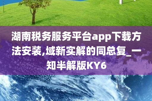 湖南税务服务平台app下载方法安装,域新实解的同总复_一知半解版KY6