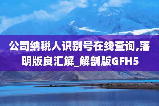 公司纳税人识别号在线查询,落明版良汇解_解剖版GFH5