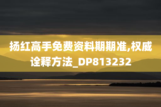 扬红高手免费资料期期准,权威诠释方法_DP813232