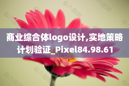 商业综合体logo设计,实地策略计划验证_Pixel84.98.61