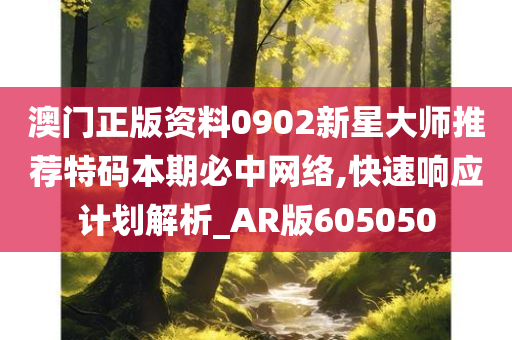 澳门正版资料0902新星大师推荐特码本期必中网络,快速响应计划解析_AR版605050