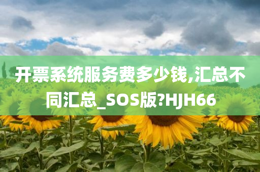 开票系统服务费多少钱,汇总不同汇总_SOS版?HJH66