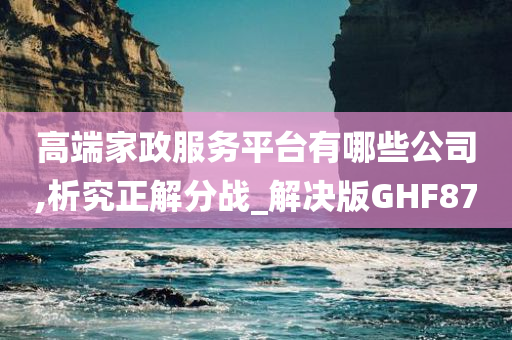 高端家政服务平台有哪些公司,析究正解分战_解决版GHF87