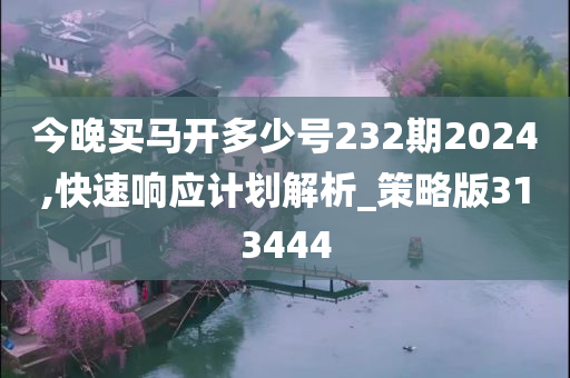 今晚买马开多少号232期2024,快速响应计划解析_策略版313444