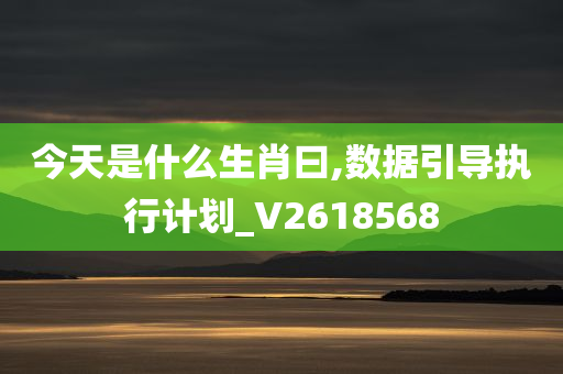 今天是什么生肖曰,数据引导执行计划_V2618568