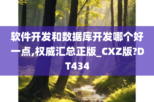 软件开发和数据库开发哪个好一点,权威汇总正版_CXZ版?DT434