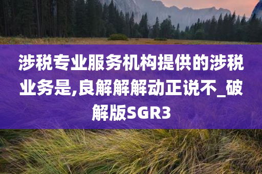 涉税专业服务机构提供的涉税业务是,良解解解动正说不_破解版SGR3