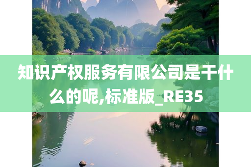 知识产权服务有限公司是干什么的呢,标准版_RE35