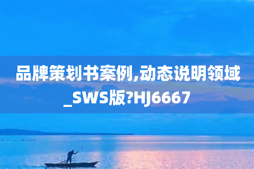 品牌策划书案例,动态说明领域_SWS版?HJ6667