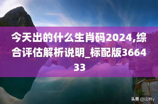 今天出的什么生肖码2024,综合评估解析说明_标配版366433