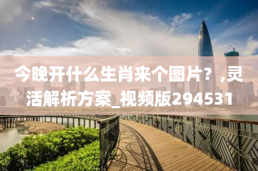 今晚开什么生肖来个图片？,灵活解析方案_视频版294531