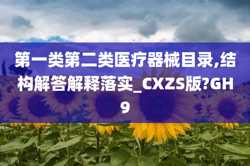 第一类第二类医疗器械目录,结构解答解释落实_CXZS版?GH9