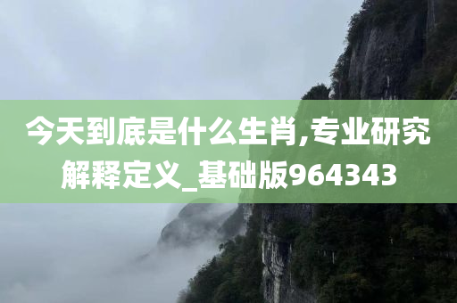 今天到底是什么生肖,专业研究解释定义_基础版964343