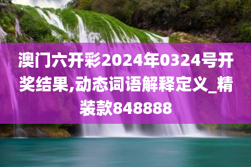 澳门六开彩2024年0324号开奖结果,动态词语解释定义_精装款848888