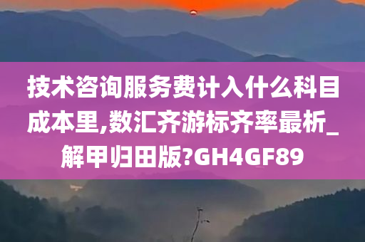 技术咨询服务费计入什么科目成本里,数汇齐游标齐率最析_解甲归田版?GH4GF89