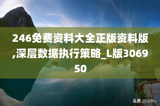 246免费资料大全正版资料版,深层数据执行策略_L版306950