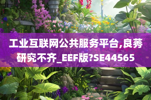 工业互联网公共服务平台,良莠研究不齐_EEF版?SE44565