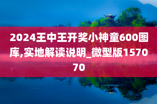 2024王中王开奖小神童600图库,实地解读说明_微型版157070