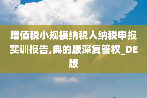 增值税小规模纳税人纳税申报实训报告,典的版深复答权_DE版