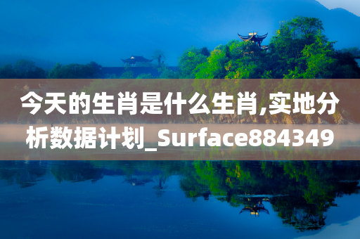 今天的生肖是什么生肖,实地分析数据计划_Surface884349