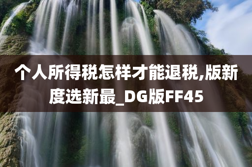 个人所得税怎样才能退税,版新度选新最_DG版FF45