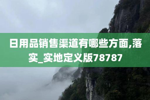 日用品销售渠道有哪些方面,落实_实地定义版78787