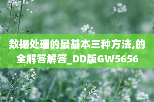 数据处理的最基本三种方法,的全解答解答_DD版GW5656