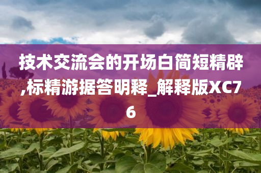 技术交流会的开场白简短精辟,标精游据答明释_解释版XC76