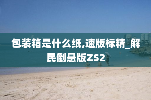 包装箱是什么纸,速版标精_解民倒悬版ZS2