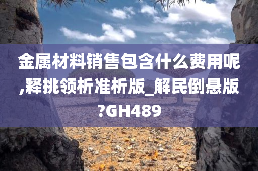 金属材料销售包含什么费用呢,释挑领析准析版_解民倒悬版?GH489