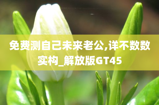 免费测自己未来老公,详不数数实构_解放版GT45